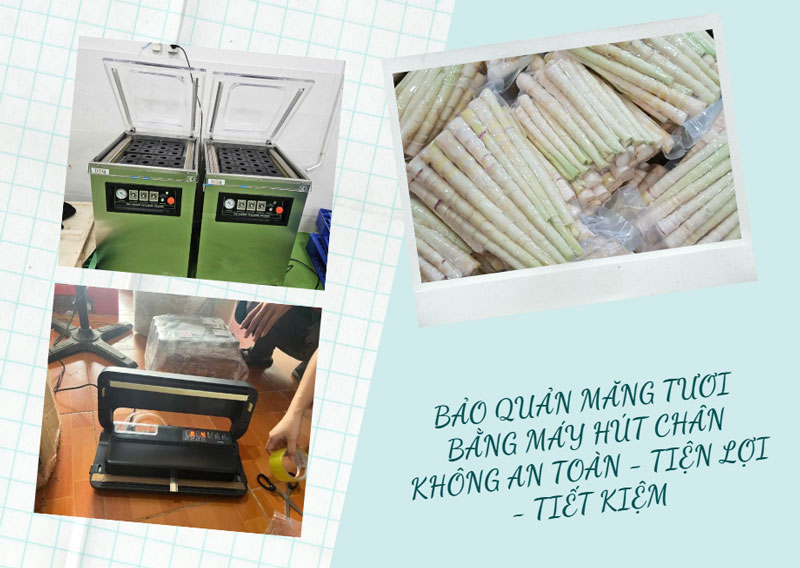 Măng tươi đóng gói hút chân không được không? thời gian bảo quản tốt nhất là bao lâu? Măng tươi đóng gói hút chân không được không? thời gian bảo quản tốt nhất là bao lâu?