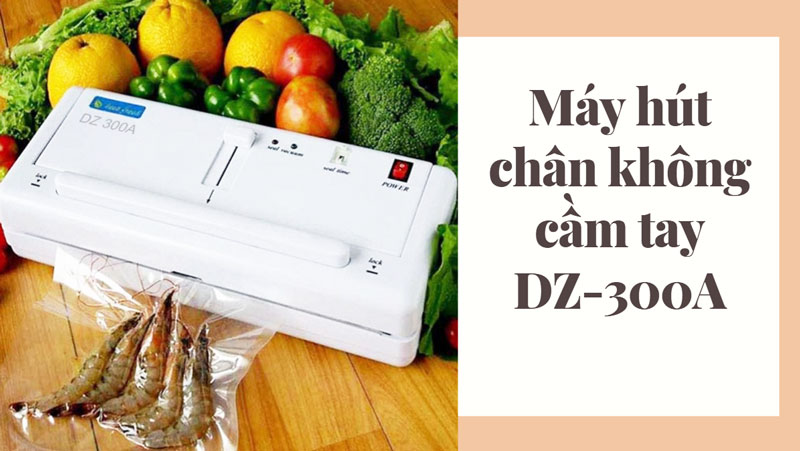 Máy hút chân không cầm tay DZ-300A